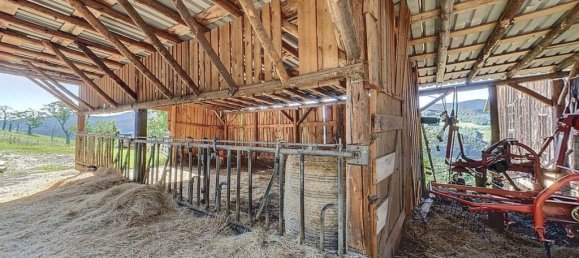 Casa de 4 dormitorios en Gerardmer, France No. 66346 8