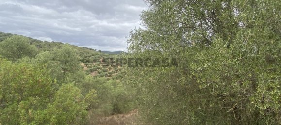 Casa T4 em Serpa, Portugal N.º 162257 34