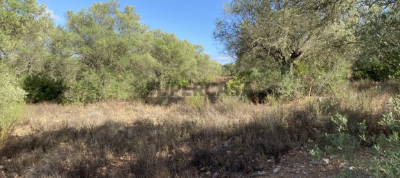 Casa T4 em Serpa, Portugal N.º 162257 21