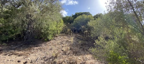 Casa T4 em Serpa, Portugal N.º 162257 18