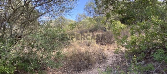 Casa T4 em Serpa, Portugal N.º 162257 15