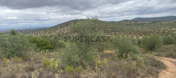 Casa T4 em Serpa, Portugal N.º 162257 43