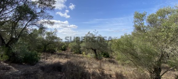 Casa T4 em Serpa, Portugal N.º 162257 11