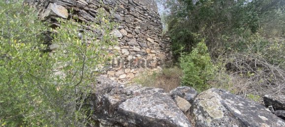 Casa T4 em Serpa, Portugal N.º 162257 37