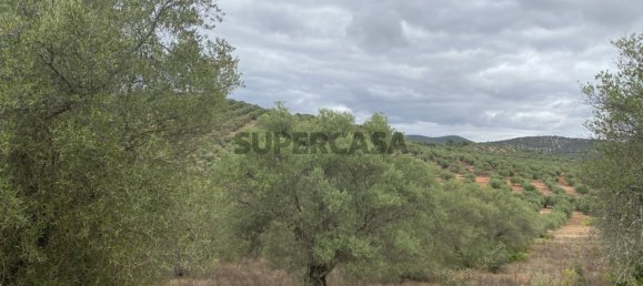 Casa T4 em Serpa, Portugal N.º 162257 28