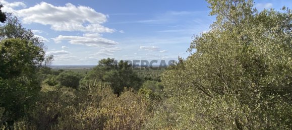 Casa T4 em Serpa, Portugal N.º 162257 14