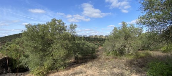 Casa T4 em Serpa, Portugal N.º 162257 16