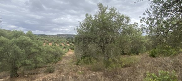 Casa T4 em Serpa, Portugal N.º 162257 27