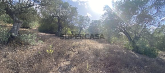 Casa T4 em Serpa, Portugal N.º 162257 13