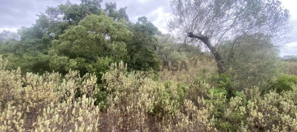 Casa T4 em Serpa, Portugal N.º 162257 42