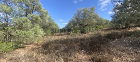 Casa T4 em Serpa, Portugal N.º 162257 12