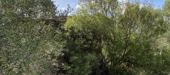 Casa T4 em Serpa, Portugal N.º 162257 6