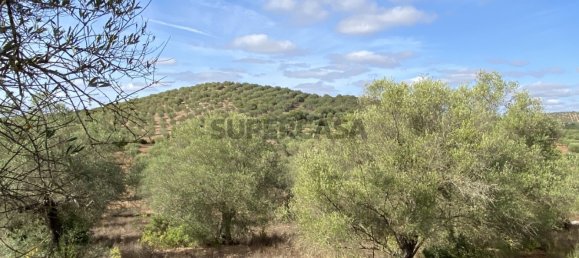 Casa T4 em Serpa, Portugal N.º 162257 24