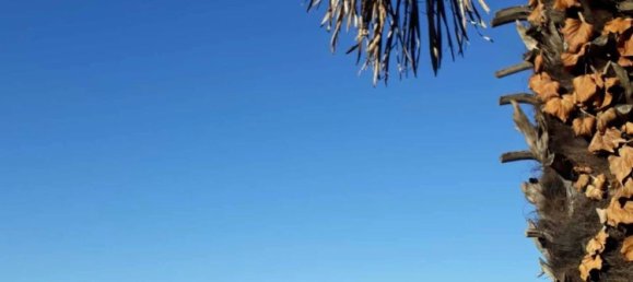 5-Zimmer Haus in Agra, Italy, Nr. 53877 23