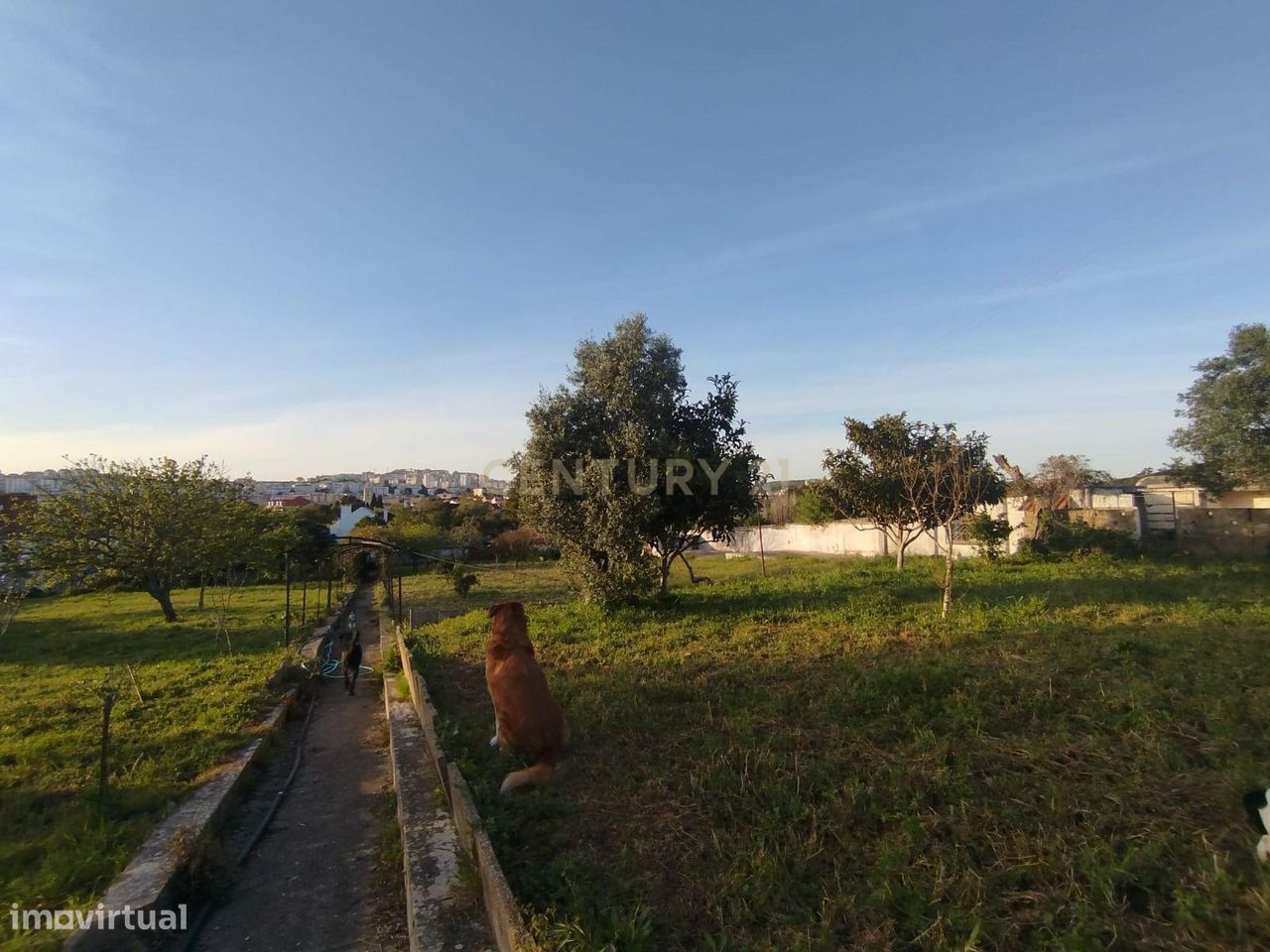 6 bedrooms House in Sintra, Portugal No. 332631