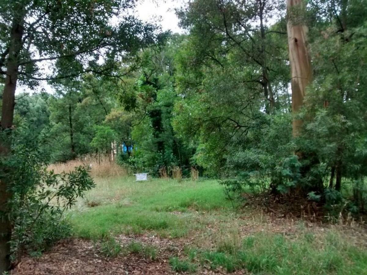  Land in Mar del Plata, Argentina No. 111056