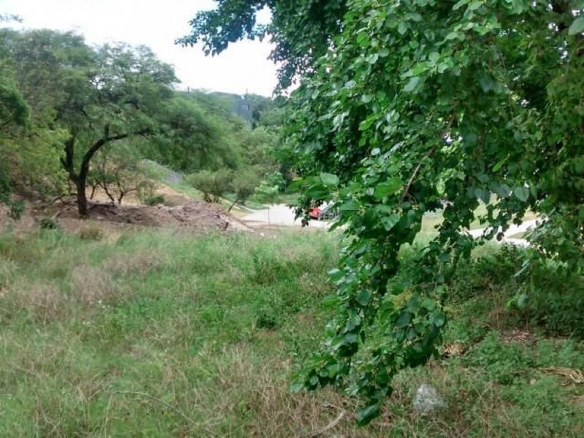  Land in Cordoba, Argentina No. 39819