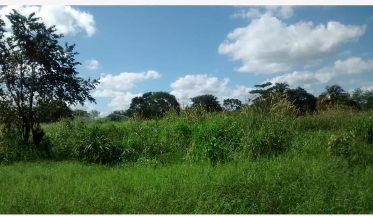 Estudio en Cansahcab, Mexico No. 154977