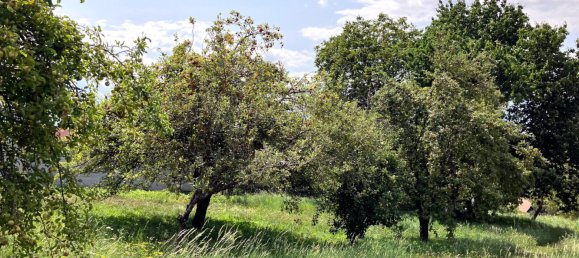 Terrain à Unterkohlstatten, Austria No. 118844 2