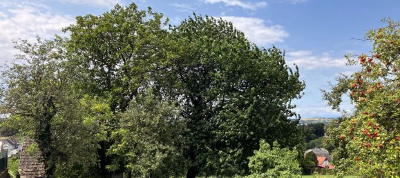 Terrain à Unterkohlstatten, Austria No. 118844 3
