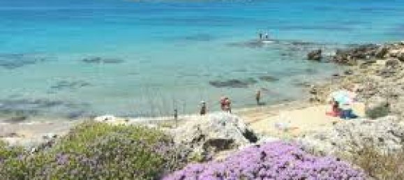 18000m² Land in Ugento, Italy No. 277095 15