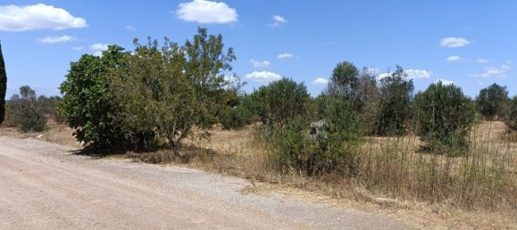 18000m² Land in Ugento, Italy No. 277095 2