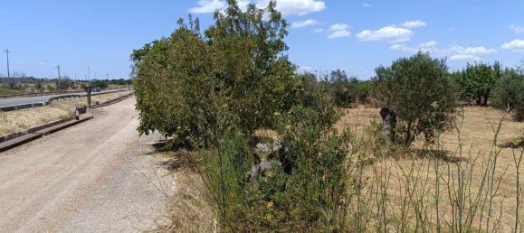 18000m² Land in Ugento, Italy No. 277095 4