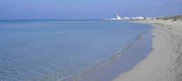 18000m² Land in Ugento, Italy No. 277095 16