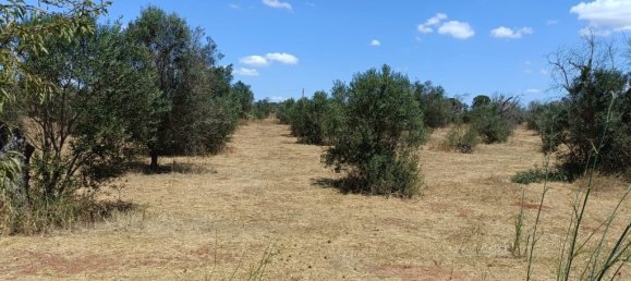 18000m² Land in Ugento, Italy No. 277095 10