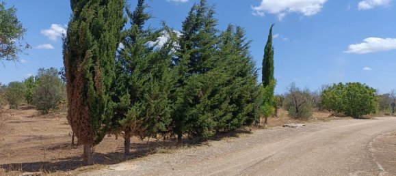 18000m² Land in Ugento, Italy No. 277095 5