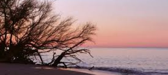 18000m² Land in Ugento, Italy No. 277095 20