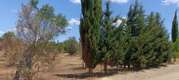 18000m² Land in Ugento, Italy No. 277095 3