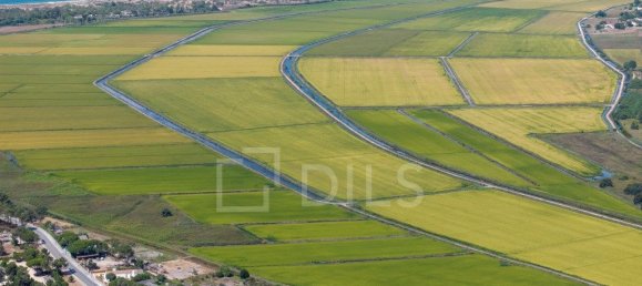 Grundstück in Grandola, Portugal 983m², Nr. 328973 15