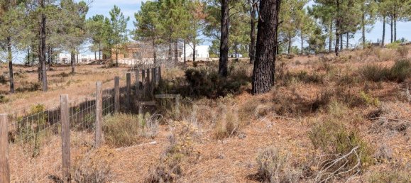 Grundstück in Grandola, Portugal 983m², Nr. 328973 4