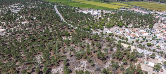 Grundstück in Grandola, Portugal 983m², Nr. 328973 10