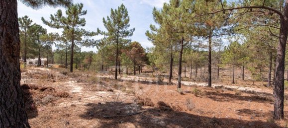 Grundstück in Grandola, Portugal 983m², Nr. 328973 3