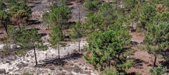 Grundstück in Grandola, Portugal 983m², Nr. 328973 7