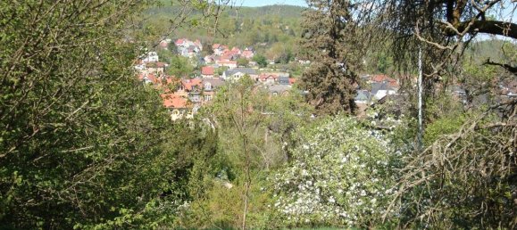 Grundstück in Saalfeld-Rudolstadt, Germany, Nr. 129149 4