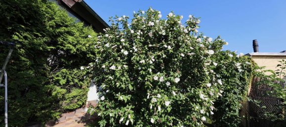 5-salle Bungalow à Bohnsdorf, Germany No. 293473 27