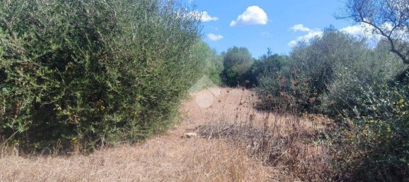 Grundstück in Sassari, Italy 6330m², Nr. 345601 4