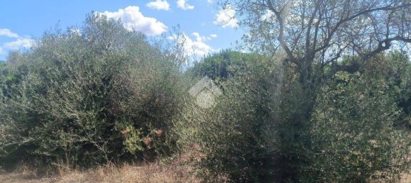 Grundstück in Sassari, Italy 6330m², Nr. 345601 3