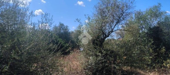 Grundstück in Sassari, Italy 6330m², Nr. 345601 7