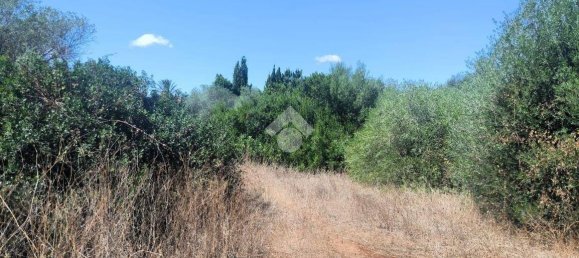 Grundstück in Sassari, Italy 6330m², Nr. 345601 2