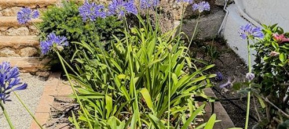 3 chambres Maison à Altea, Spain No. 182035 32