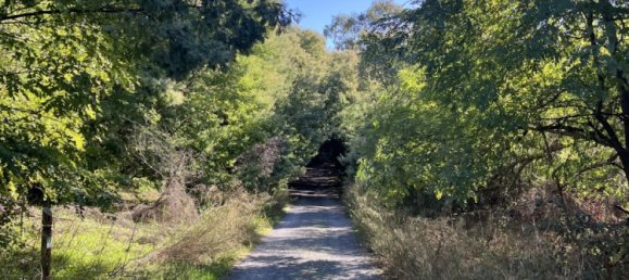 Casa T5 em Tharsis, Spain N.º 292287 30