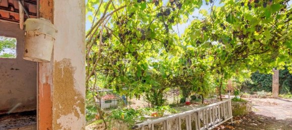 4 Schlafzimmer Haus in Mafra, Portugal, Nr. 302242 22