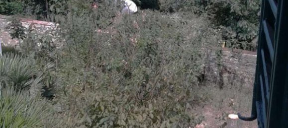 11غرفة منزل في Florence, Italy رقم 48632 24