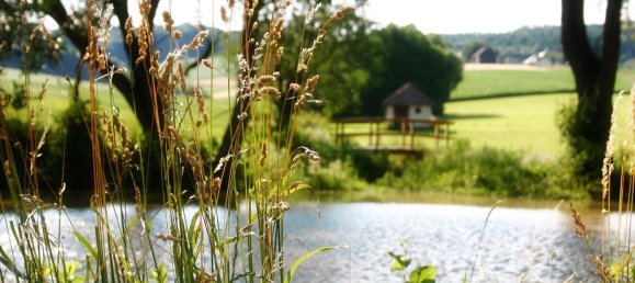 Земельный участок в Нойленгбах, Австрия № 85858 15