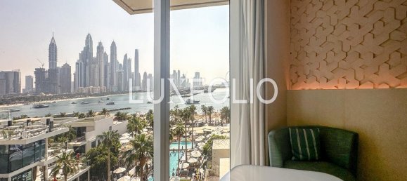 Studio in Palm Jumeirah, UAE No. 101249 11