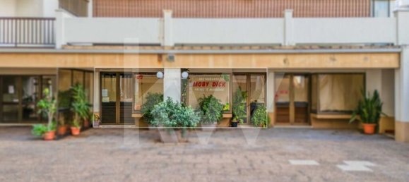 77m² Commercial property in Funchal, Portugal No. 72836 8